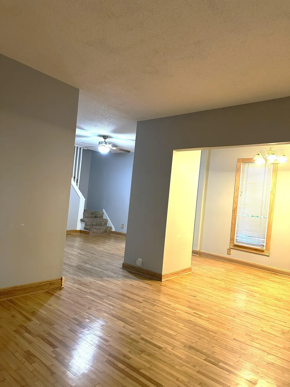 823 Juno Avenue Saint Paul, MN 55102