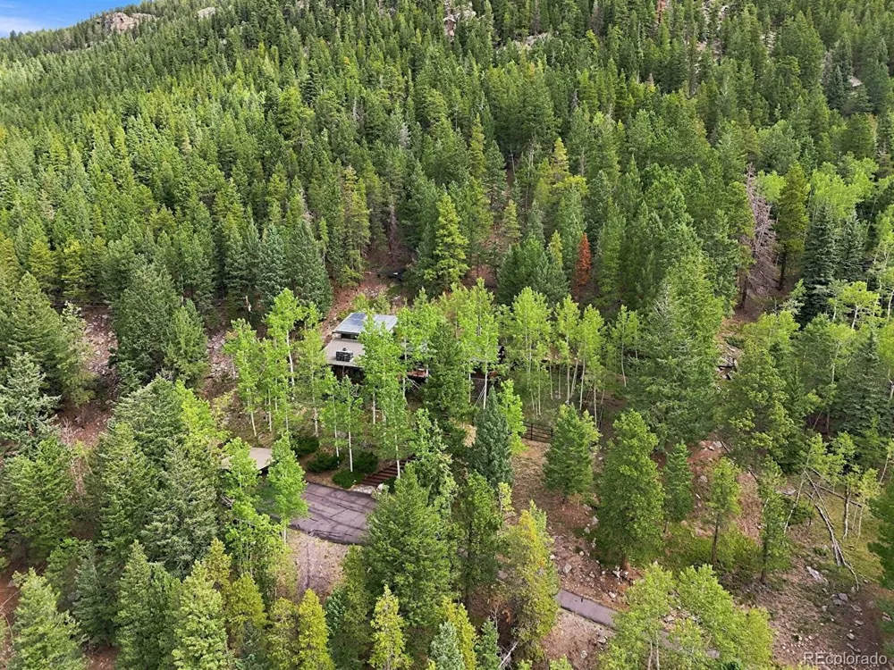 3742 Witter Gulch Road Evergreen, CO 80439