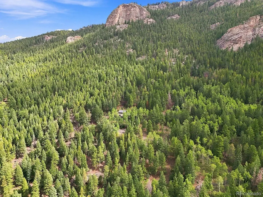 3742 Witter Gulch Road Evergreen, CO 80439