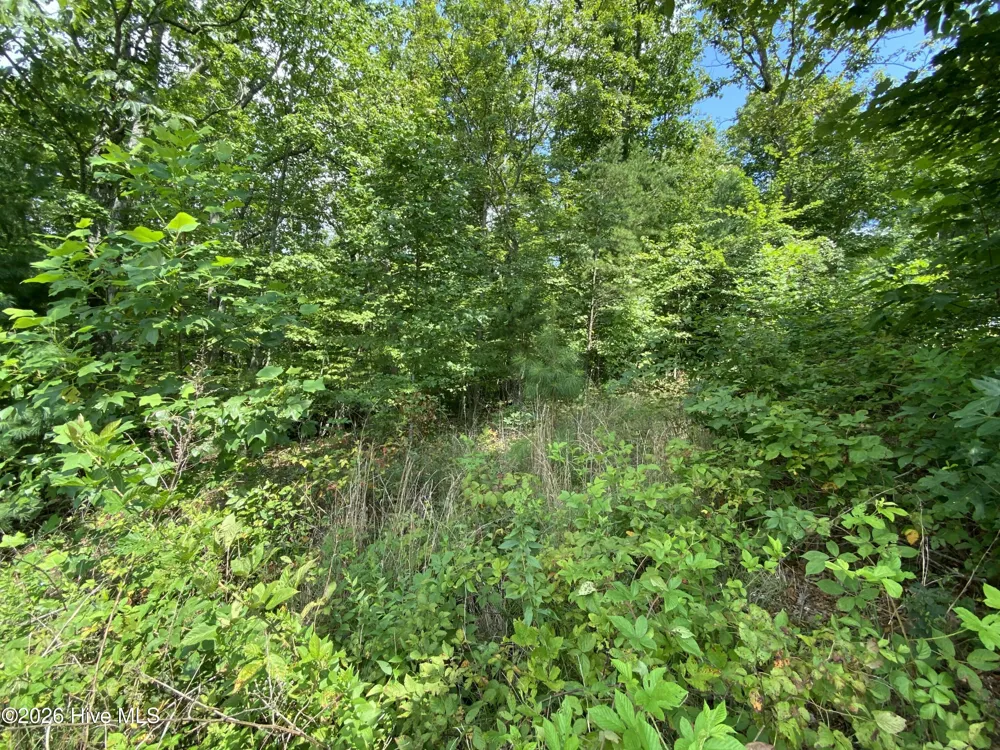 00 Noble Mountain Landing Murphy, NC 28906