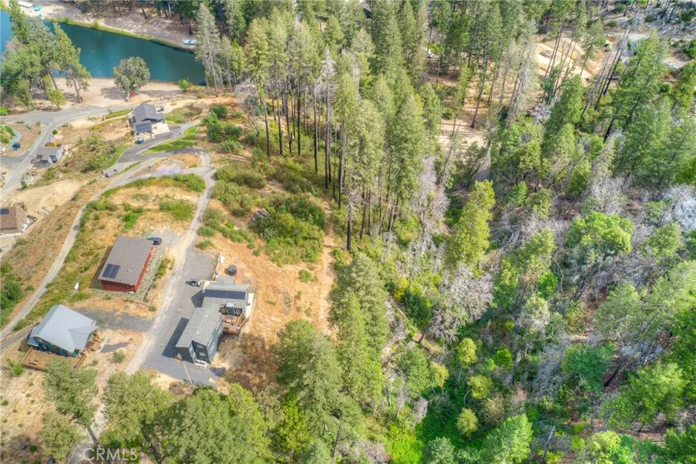 11 Dryad Berry Creek, CA 95916