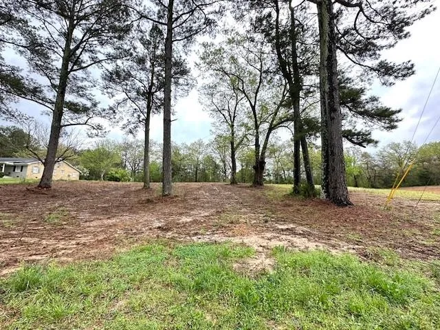 175 DRAKE LOOP Savannah, TN 38372