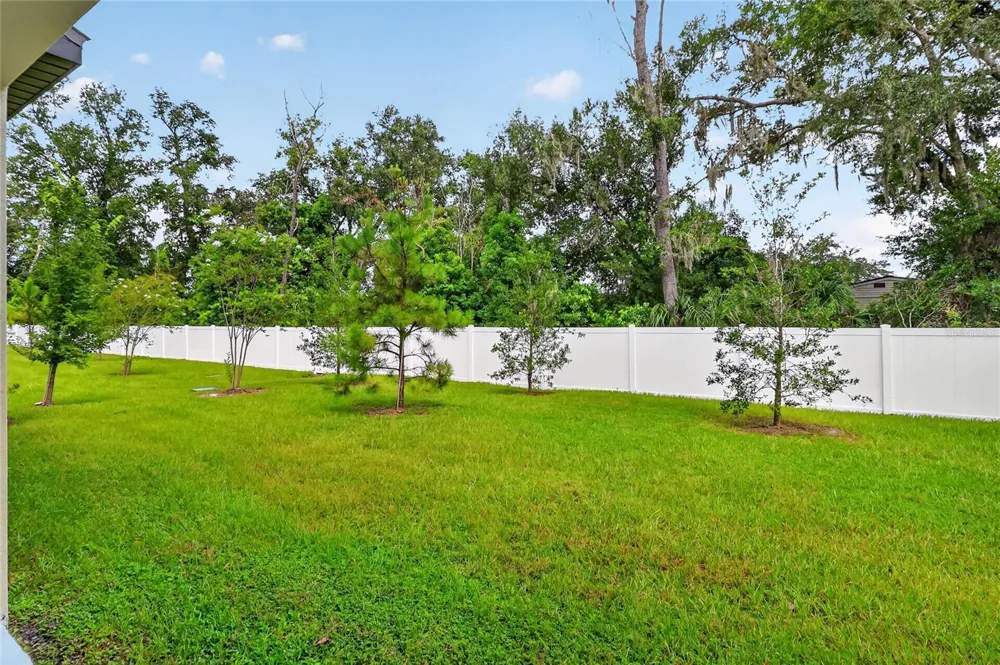 36227 JOSEPH BLAKE STREET Zephyrhills, FL 33541