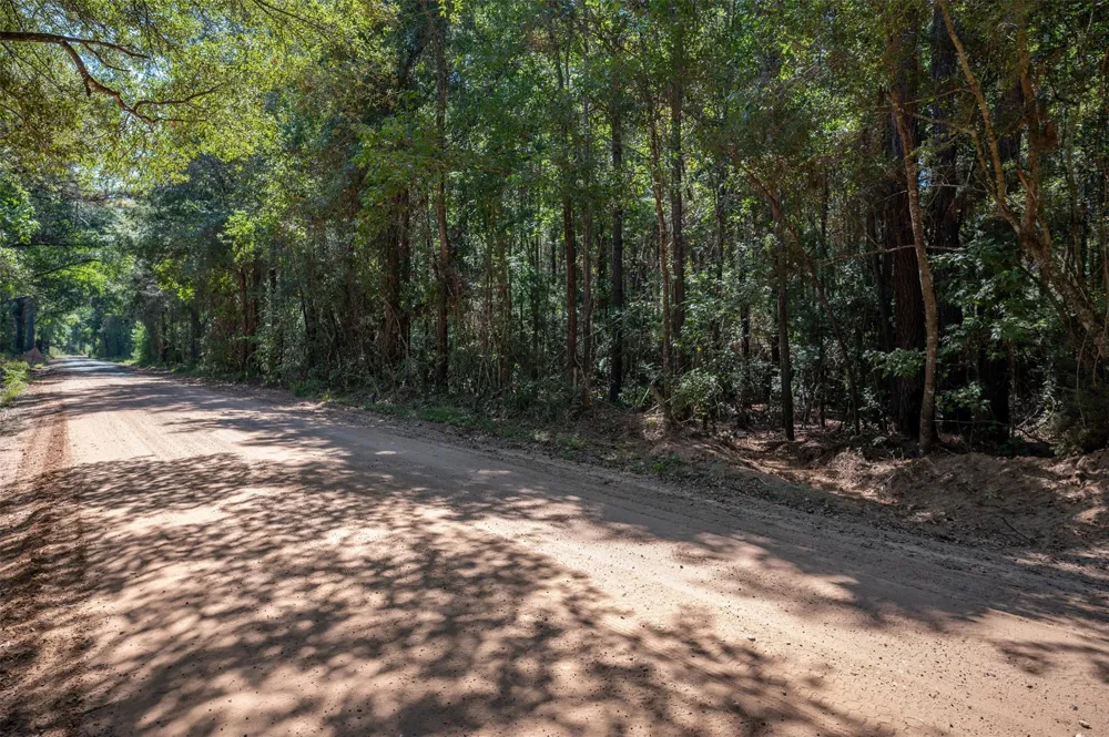 County Road 4520 Warren, TX 77664