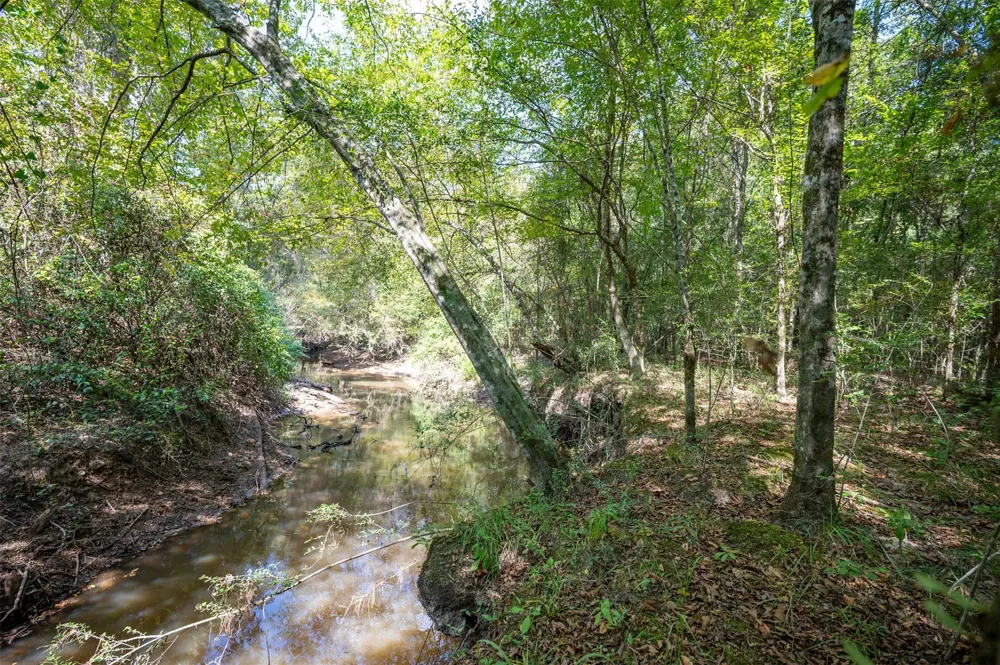 County Road 4520 Warren, TX 77664