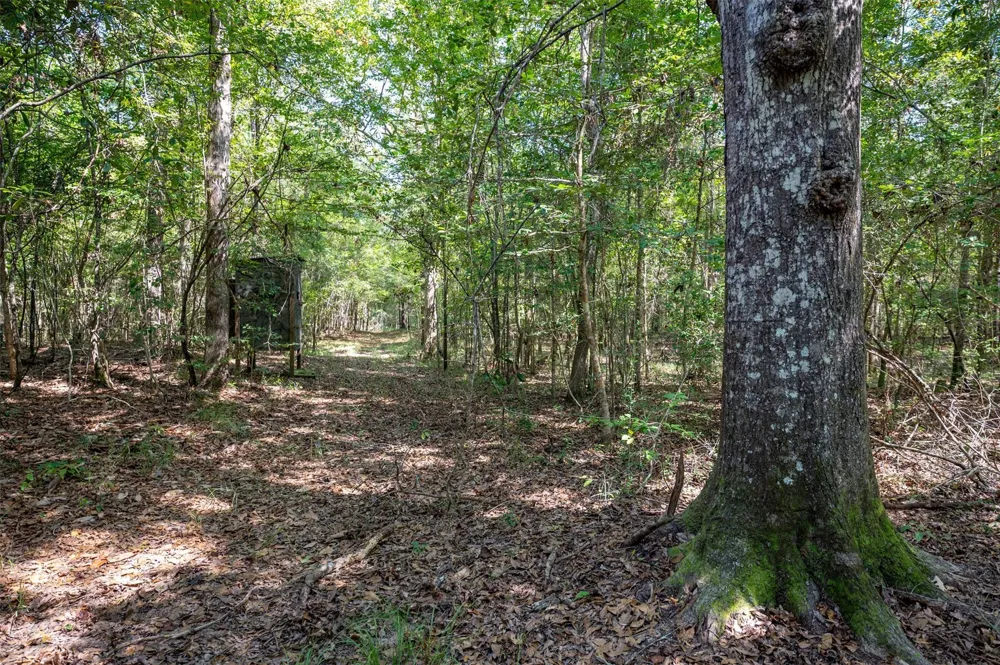County Road 4520 Warren, TX 77664