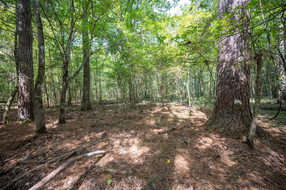County Road 4520 Warren, TX 77664