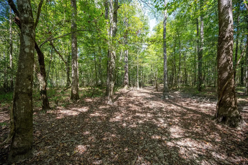 County Road 4520 Warren, TX 77664
