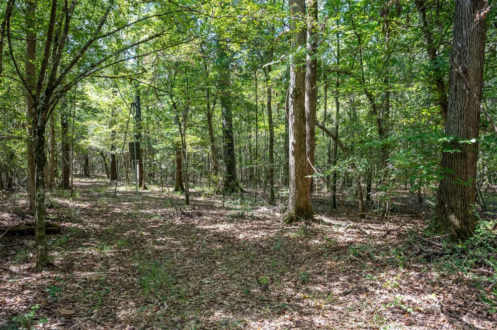 County Road 4520 Warren, TX 77664
