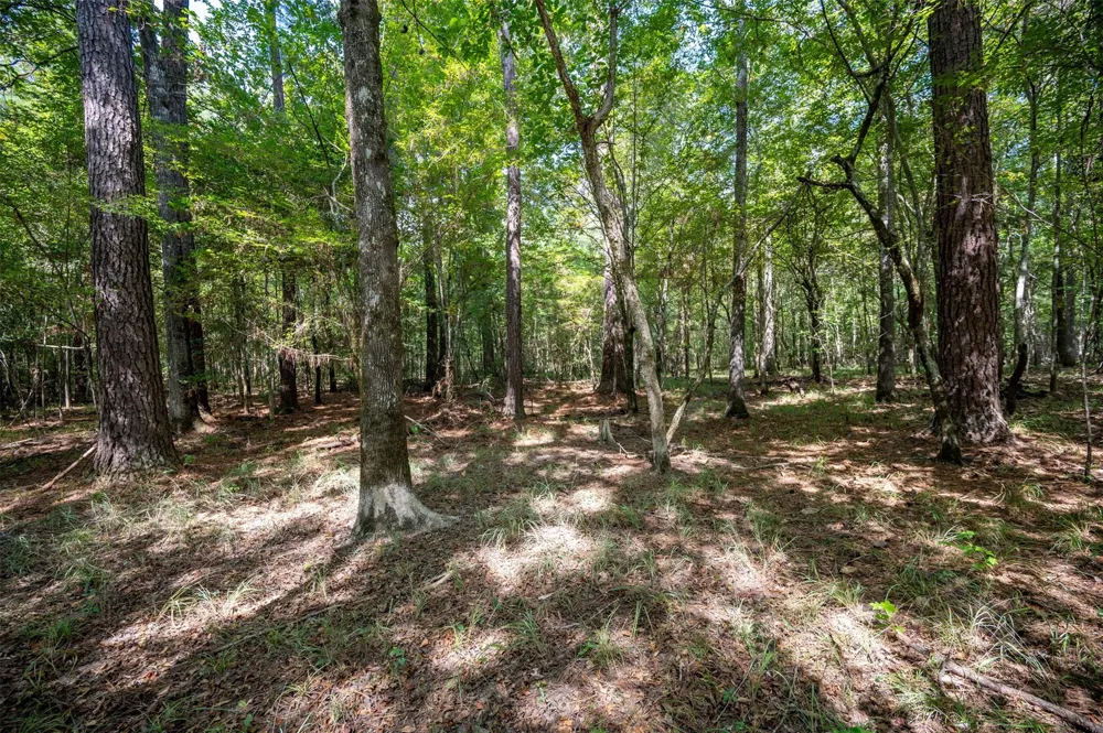 County Road 4520 Warren, TX 77664