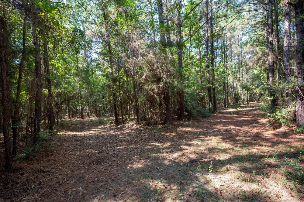 County Road 4520 Warren, TX 77664