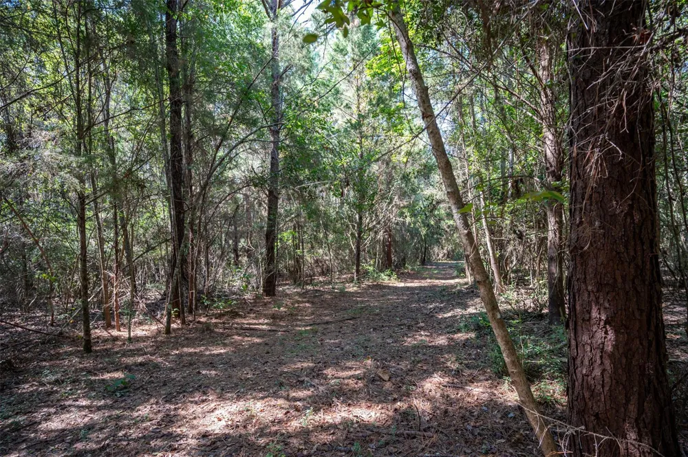 County Road 4520 Warren, TX 77664