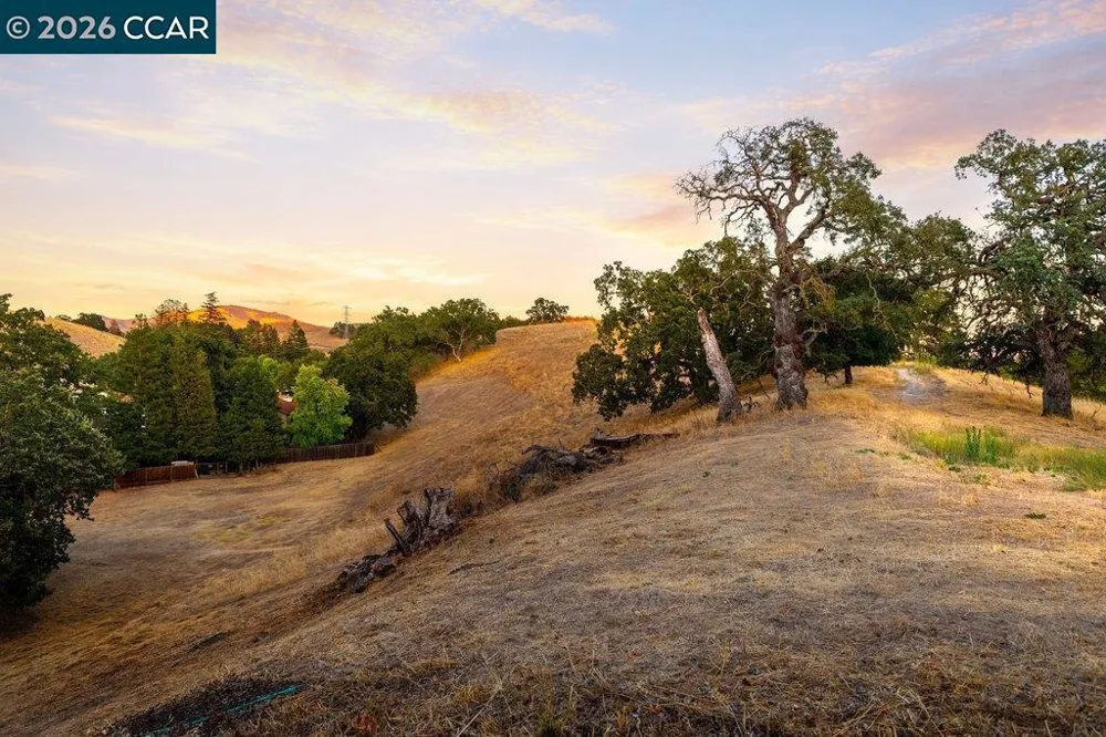 925 Beech Drive Walnut Creek, CA 94596