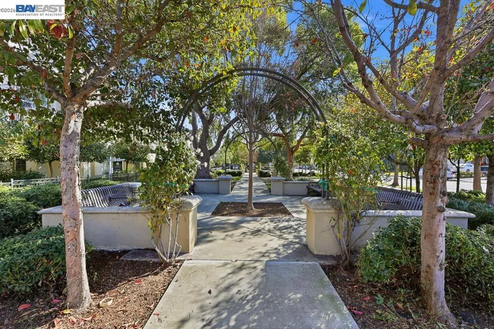 40203 Antigua Rose Ter Fremont, CA 94538