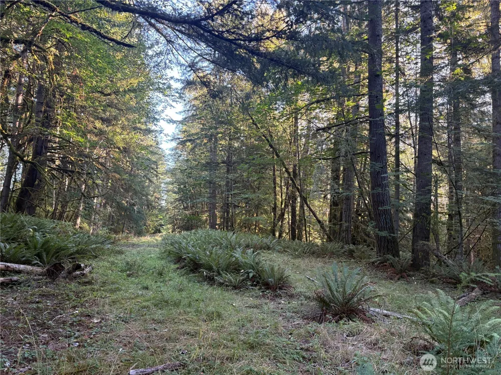 1 NKA Frank Smith Road Toutle, WA 98649