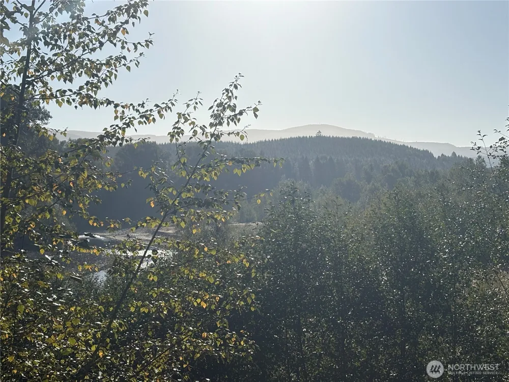 1 NKA Frank Smith Road Toutle, WA 98649