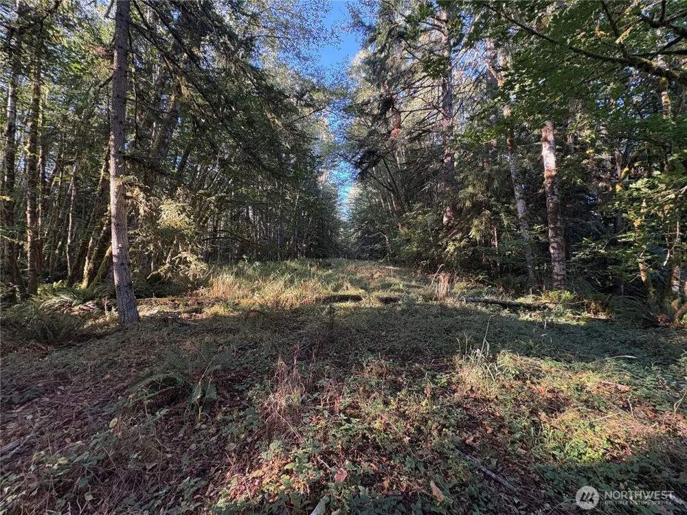 1 NKA Frank Smith Road Toutle, WA 98649