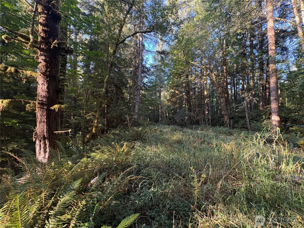 1 NKA Frank Smith Road Toutle, WA 98649
