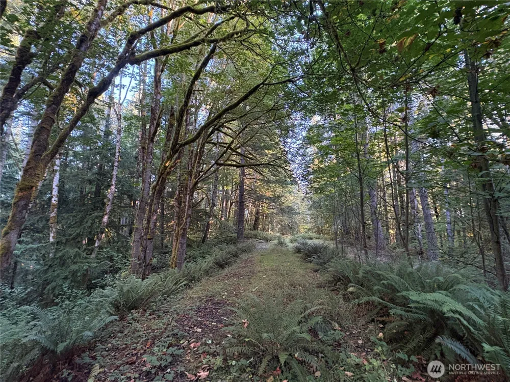 1 NKA Frank Smith Road Toutle, WA 98649