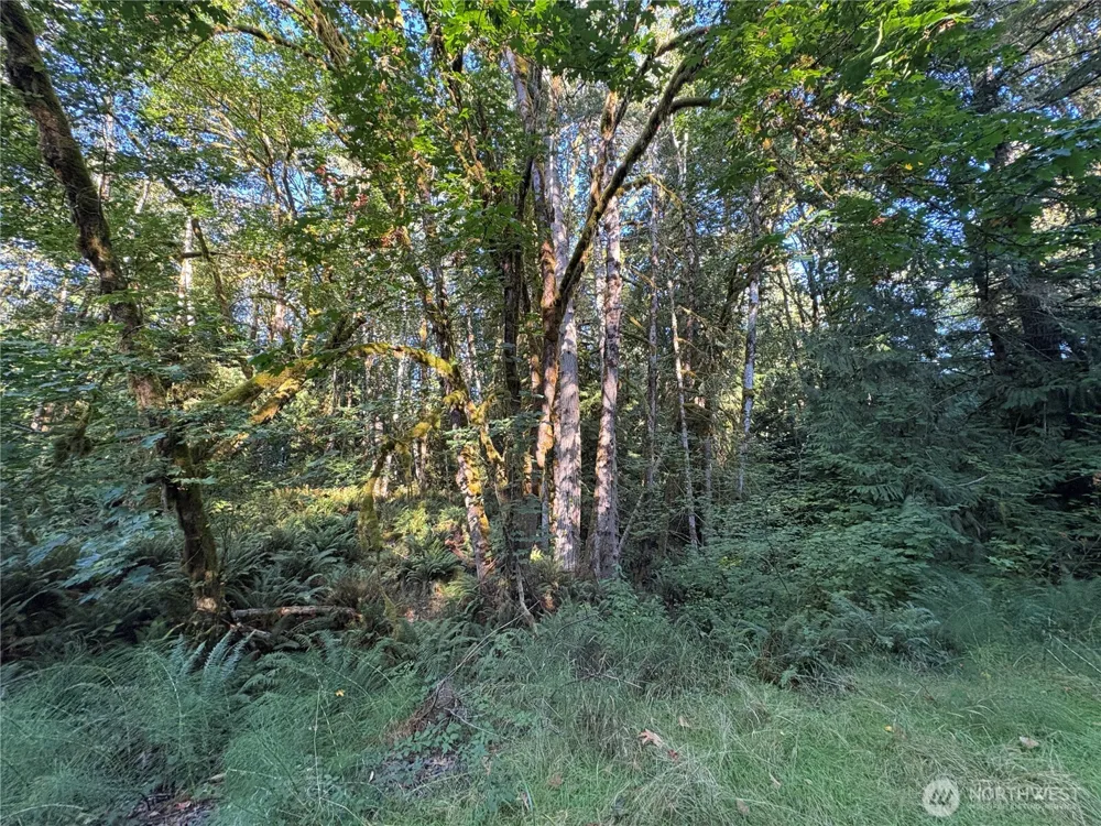 1 NKA Frank Smith Road Toutle, WA 98649