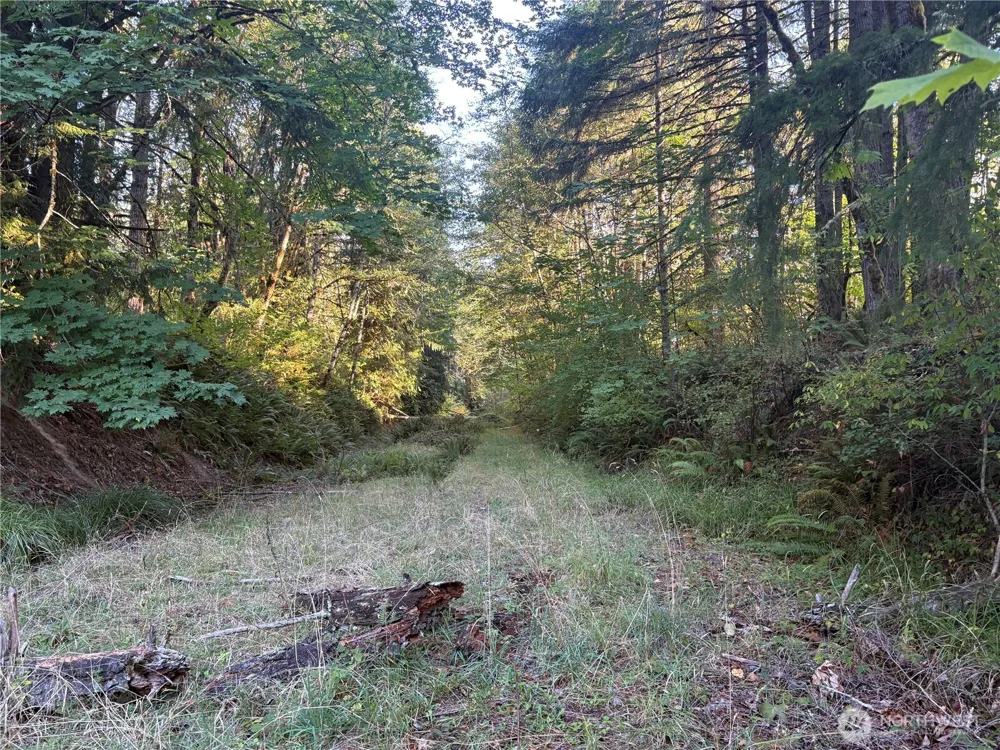 1 NKA Frank Smith Road Toutle, WA 98649