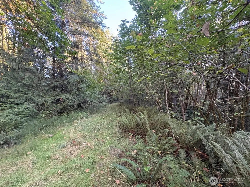 1 NKA Frank Smith Road Toutle, WA 98649