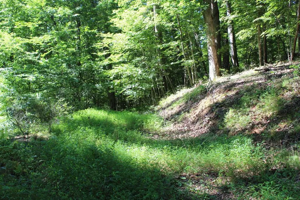 Mountain Paradise Dr Franklin, NC 28734