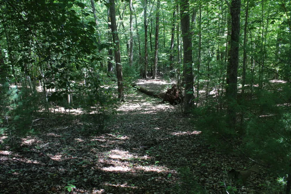 Mountain Paradise Dr Franklin, NC 28734