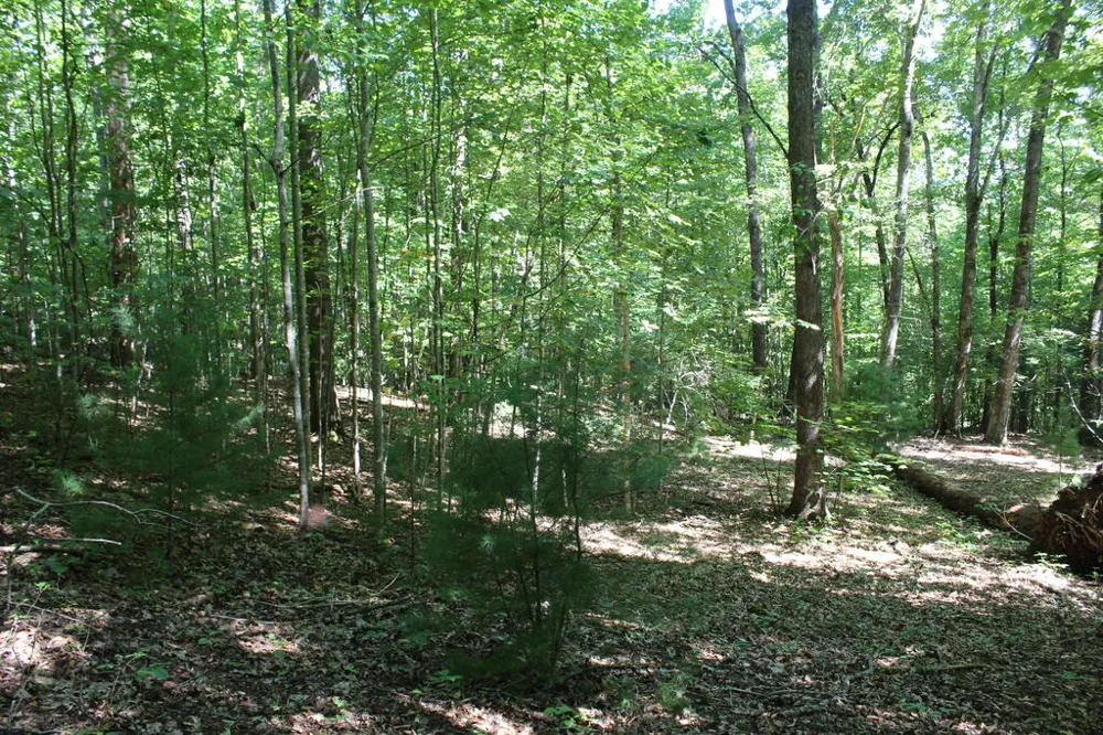 Mountain Paradise Dr Franklin, NC 28734