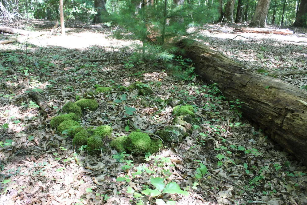 Mountain Paradise Dr Franklin, NC 28734