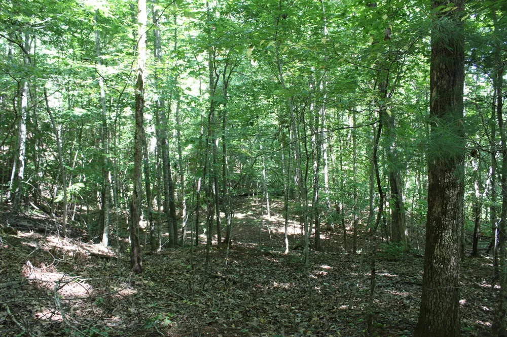 Mountain Paradise Dr Franklin, NC 28734
