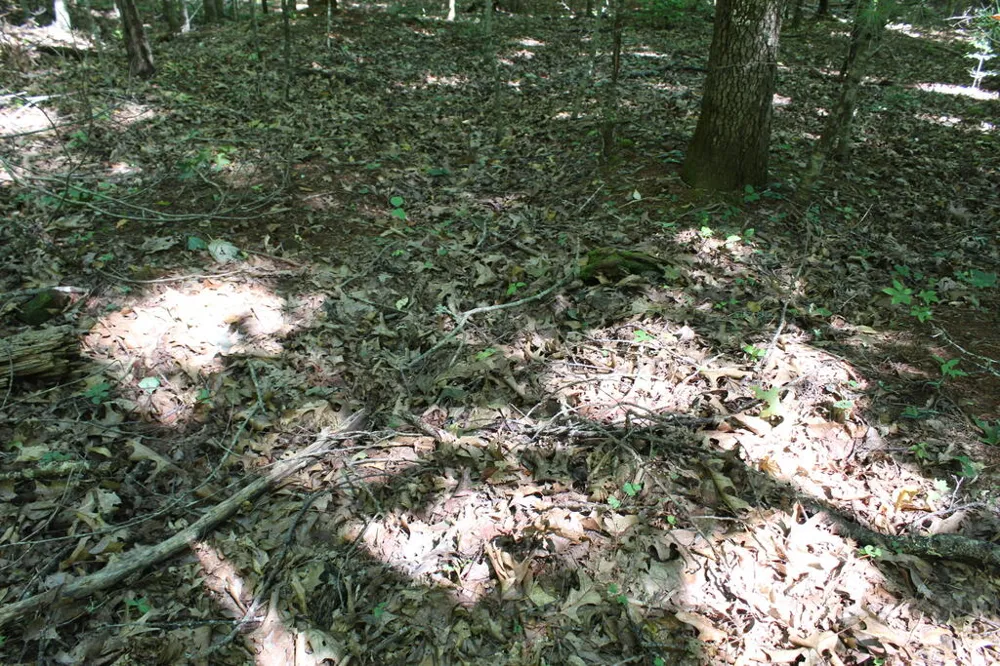Mountain Paradise Dr Franklin, NC 28734