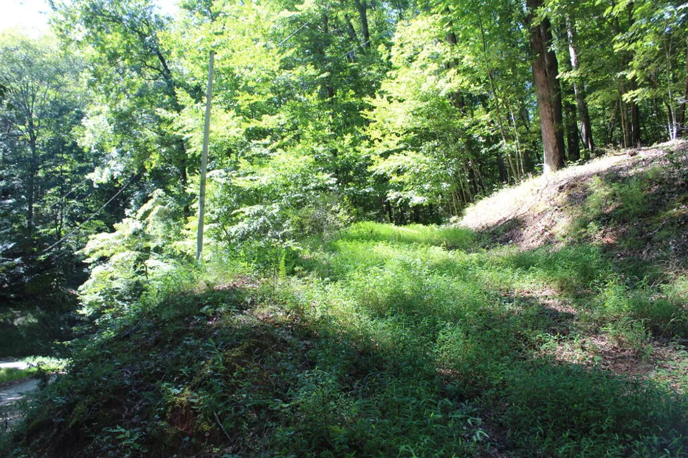 Mountain Paradise Dr Franklin, NC 28734