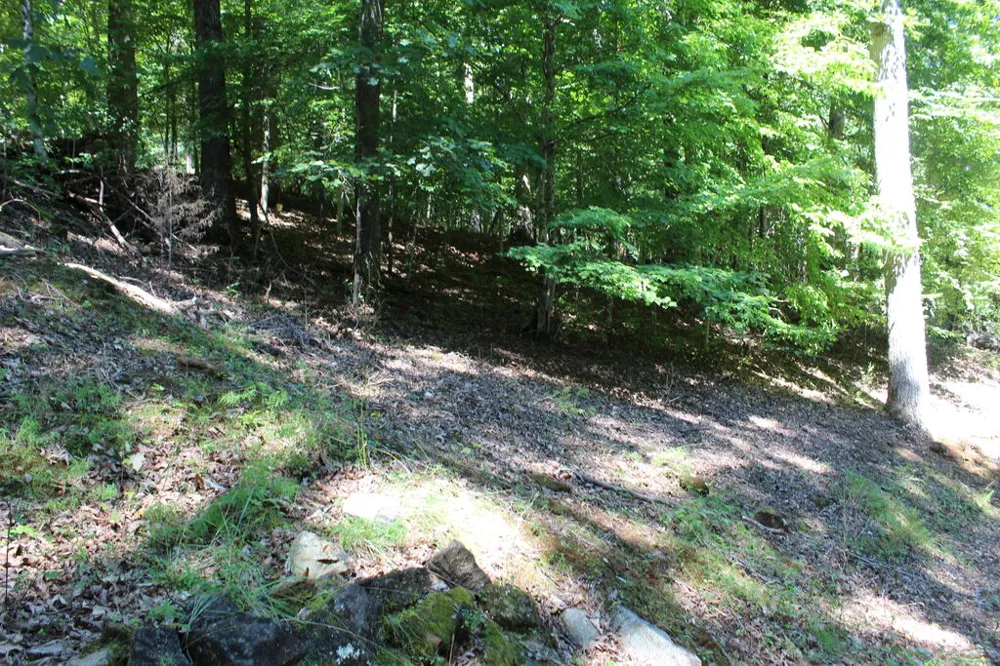 Mountain Paradise Dr Franklin, NC 28734