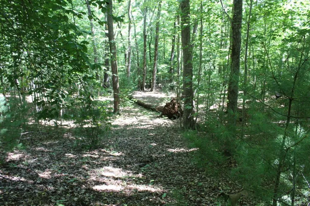 Mountain Paradise Dr Franklin, NC 28734