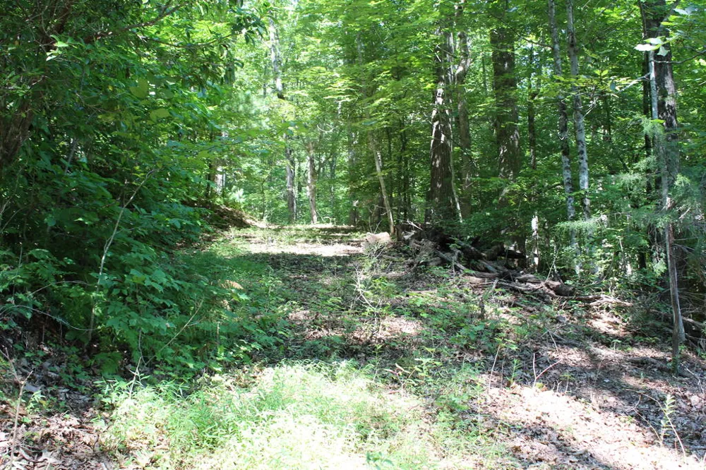 Mountain Paradise Dr Franklin, NC 28734