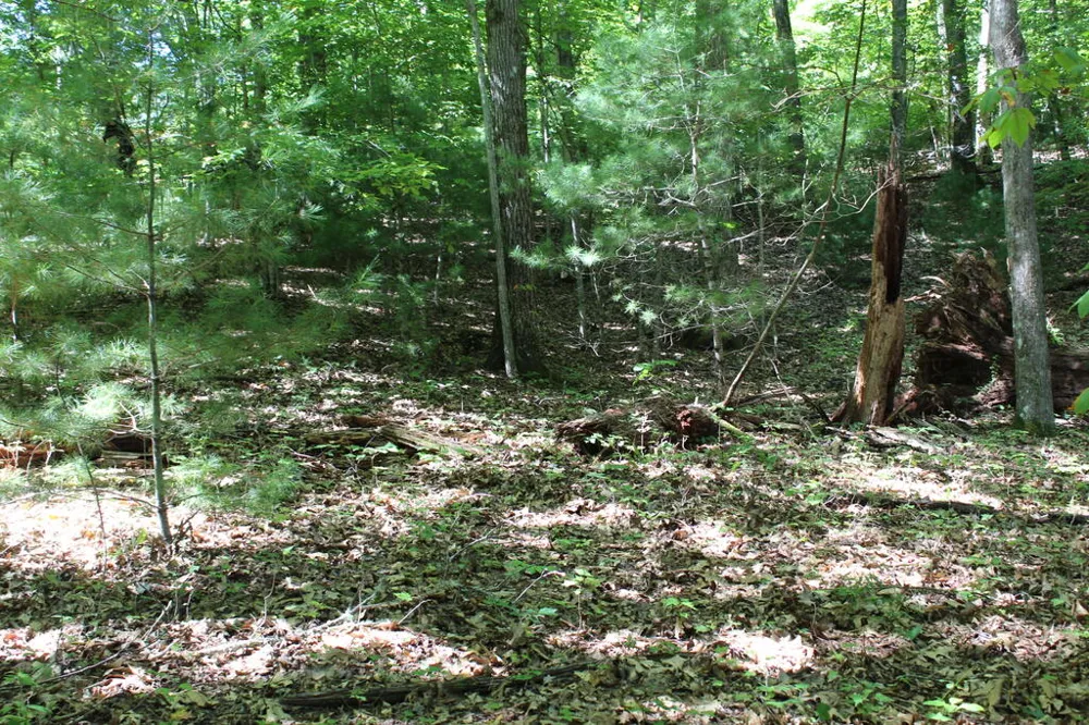 Mountain Paradise Dr Franklin, NC 28734