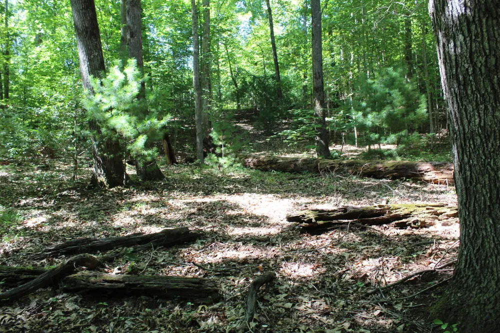 Mountain Paradise Dr Franklin, NC 28734