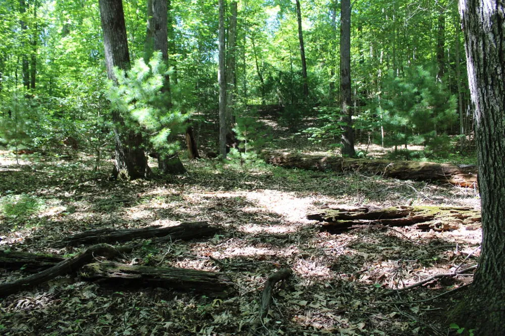 Mountain Paradise Dr Franklin, NC 28734