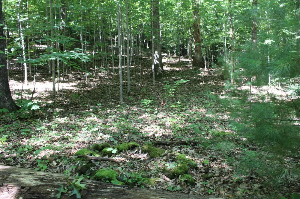 Mountain Paradise Dr Franklin, NC 28734