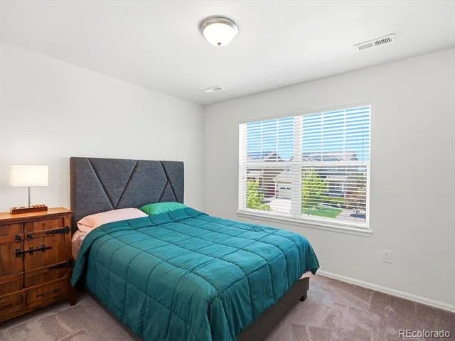 15006 Vienna Circle Parker, CO 80134