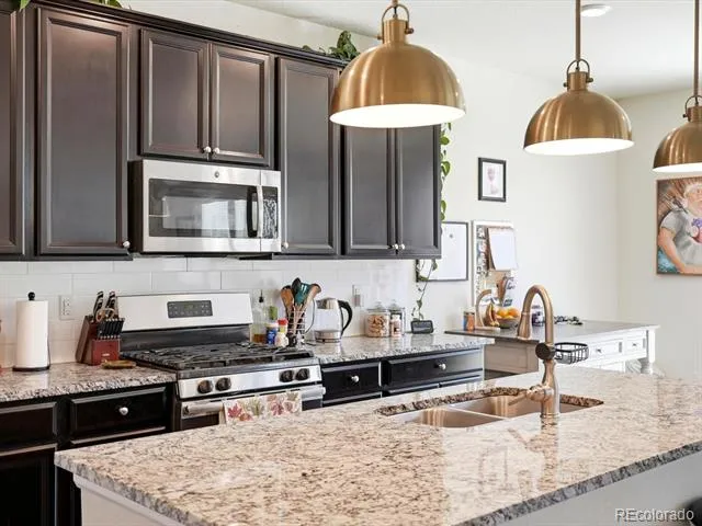 15006 Vienna Circle Parker, CO 80134