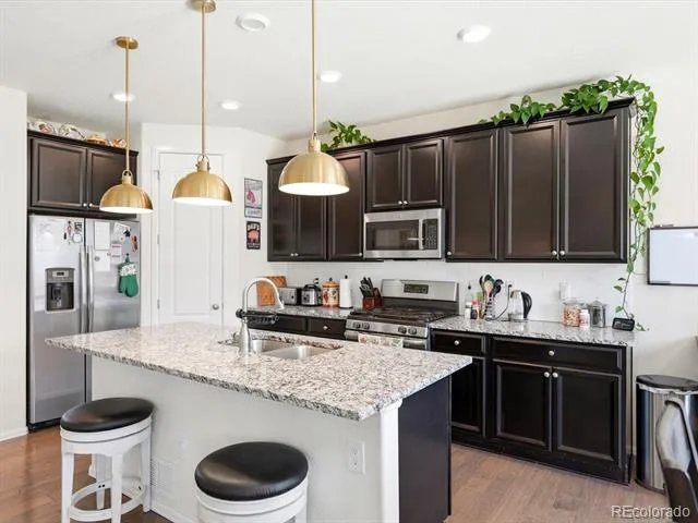15006 Vienna Circle Parker, CO 80134