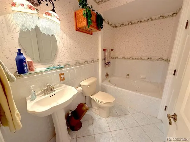 242 E Blarney Stone Road Howard, CO 81233