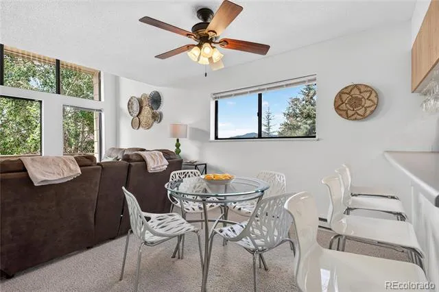 444 County Road 832 #1 Fraser, CO 80442