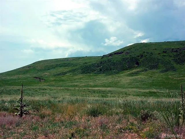 Lot 4 Twin Bluffs Road Larkspur, CO 80118