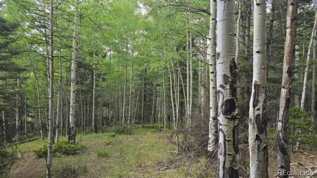 Lots 6276 & 6277 Malcolm and Shioshita Road San Luis, CO 81152