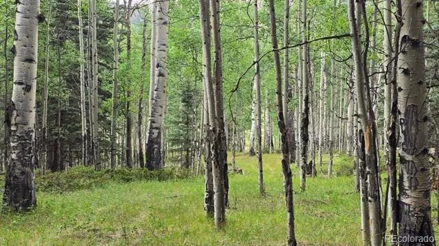 Lots 6276 & 6277 Malcolm and Shioshita Road San Luis, CO 81152