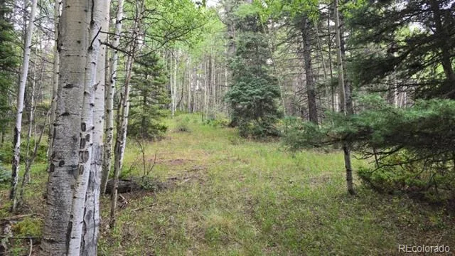 Lots 6276 & 6277 Malcolm and Shioshita Road San Luis, CO 81152