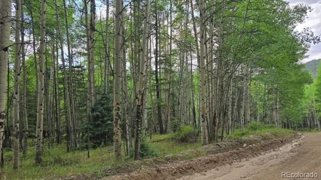 Lots 6276 & 6277 Malcolm and Shioshita Road San Luis, CO 81152